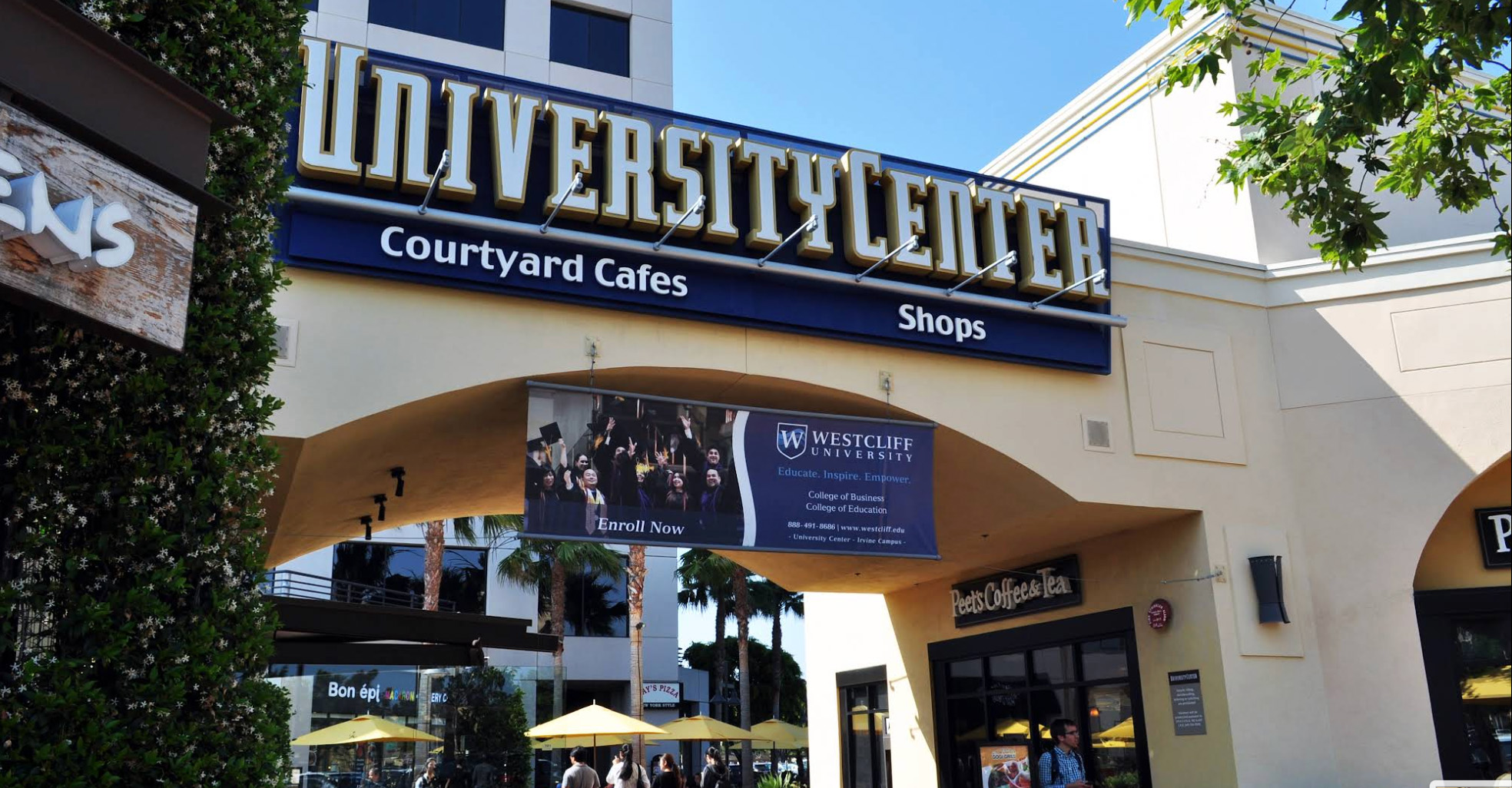 Students studying at college